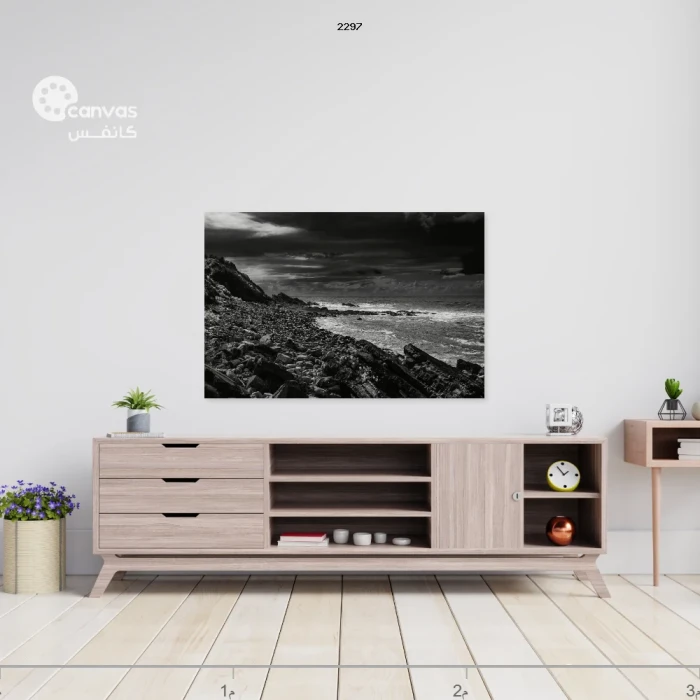 منظر طبيعي بالأبيض والأسود على الجدار